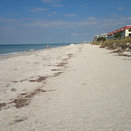 Morgan Beach Park (Belleair Beach): All You Need to Know.